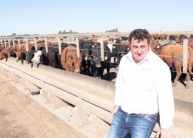En Fray Luis Beltrán, fueron del mostrador a los corrales