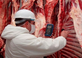 ¿Nuevos mercados para la carne argentina?