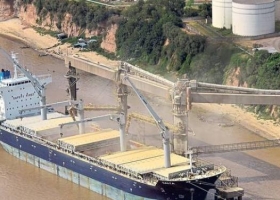 Bolsatech ya analizó 40 millones de toneladas de soja