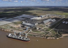 China dejó de comprar aceite de soja argentino