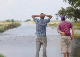 "El Niño se convirtió en el fundamento de mayor peso en el mercado agrícola"