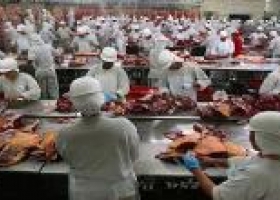 Crisis en la industria frigorífica
