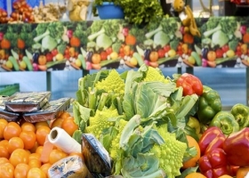 La productividad agrícola deberá duplicarse para alimentar al mundo