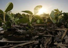 Anticipan un impacto mínimo de La Niña
