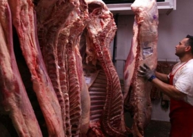 Argentina ya exportó más carne a China que en todo 2015