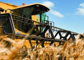 Lanzan nuevo relevamiento gratuito de calidad del trigo