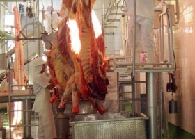 Un sector industrial en problemas: pérdidas del frigorífico Carnes Pampeanas se incrementaron en un 80%