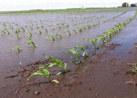 Claves para el manejo de excedentes hídricos