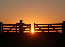 Volvió a caer el poder adquistivo del productor
