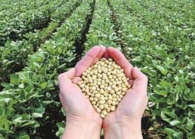 Advierten que para que el agro capte más inversiones se deben corregir asimetrías