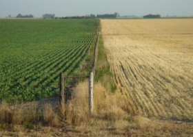 Alerta: hasta febrero las lluvias podrían ser inferiores a las normales en toda la pampa húmeda.