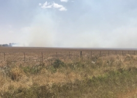 Alerta climática: siguen sin aparecer perspectivas de precipitaciones importantes en la región pampeana