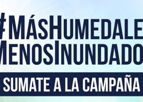 69 millones de hectáreas quedarán bajo regulación del Ministerio de Ambiente si Diputados aprueba proyecto de humedales.