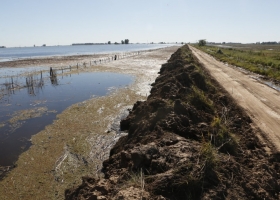 Se oficializó la emergencia agropecuaria para el oeste bonaerense por las inundaciones de octubre