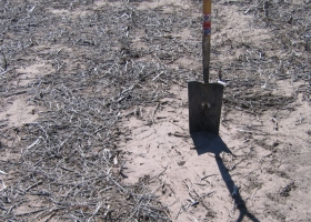 Un informe sugiere que la agricultura combinada con la ganadería degrada los suelos