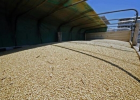 Estiman un crecimiento de US$ 6.500 millones para el PBI agroindustrial
