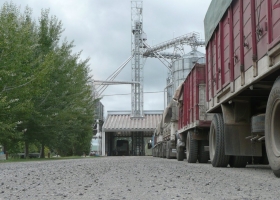 Establecieron un cupo máximo de 1000 M/$ para el subsidio destinado a productores sojeros del norte del país