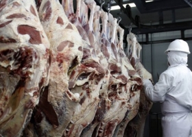 Luego de 15 años, vuelven los reintegros a las exportaciones de carne y lacteos