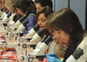 Análisis desarrollado por el INTA será aplicado en todo el mundo