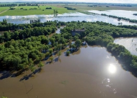 Volvió a llover en la zona agrícola núcleo y el agua afecta cultivos