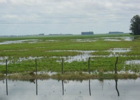 Agroindustria acompaña a las provincias afectadas por las inclemencias climáticas