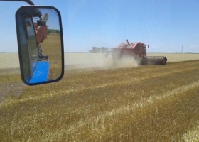Los productores vuelven a recibir el precio “lleno” del trigo