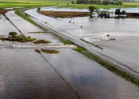 Por la lluvia, el 10% de la soja en la zona núcleo corre riesgos