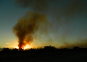 Incendios: más de un millón de hectáreas afectadas por el fuego