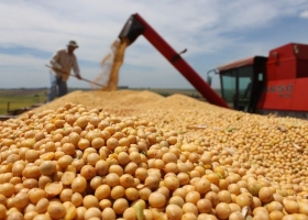 En 2016 fue récord la exportación de maíz