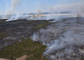 Los campos incendiados tardarán cuatro o cinco años en recuperarse