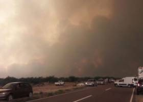 En Río Negro se quemó 20 % de los campos destinados a la ganadería bovina