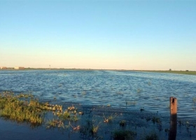 Por las inundaciones, anuncian el cierre de un pequeño pueblo tambero de Santa Fe