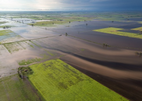 INTA: “Los técnicos están trabajando en este contexto de emergencia”