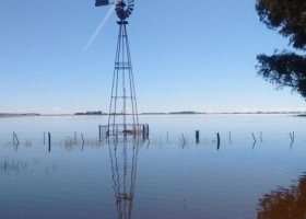 Prorrogan en forma automática las declaraciones de emergencia agropecuaria