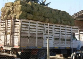 Entregan 12.000 fardos de pasto a productores afectados por incendios