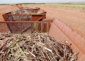Exportaciones de productos regionales crecieron 22% tras cinco años de caídas