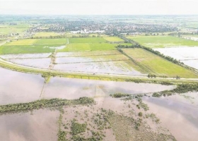 Por el clima, la cosecha de soja sería menor a 50 M de toneladas