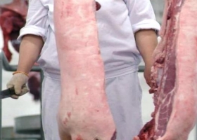 Producción de carne de cerdo marcó un nuevo récord en 2016
