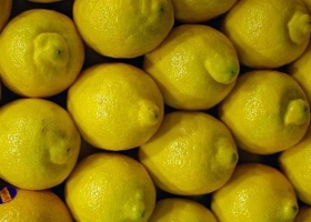 Trump frenó la importación de limones argentinos por 60 días