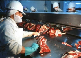 La exportación de carne subió 19 % en volumen en 2016