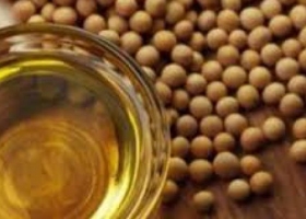 La India podría aumentar un 50% la compra de aceite de soja argentino