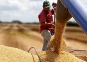 ¿Argentina podría "vivir" sin la soja?