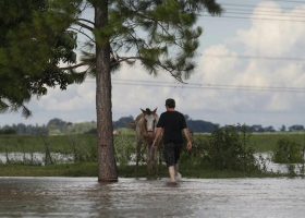 Dejó de llover hace 12 días, pero el agua baja lento y deteriora la producción en Santa Fe