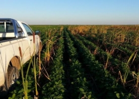 Crecieron un 85% los patentamientos de camionetas agropecuarias