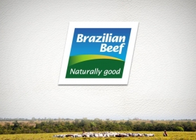 En 2016 Argentina representó apenas un 8,5% de la exportación total de carne vacuna del Mercosur