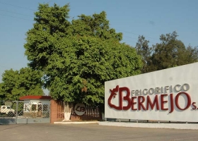 El “costo argentino” sigue triturando a la industria: Frigorífico Bermejo declaró pérdidas por 13,5 M/$
