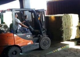 Lanzan crédito a empresas que agreguen valor a la producción agropecuaria