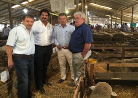 Sarquís afirmó que la carne ovina bonaerense es de excelente calidad