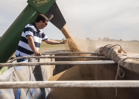 Unifican los trámites para exportar granos