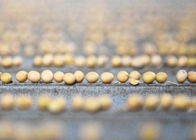 Método para analizar semillas del INTA se podrá usar en todo el mundo